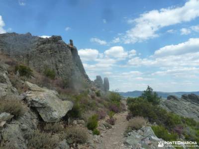 El Ocejón-Reserva Nacional Sonsaz;excursion sierra nevada bosque de irati navarra buscar amigos mad